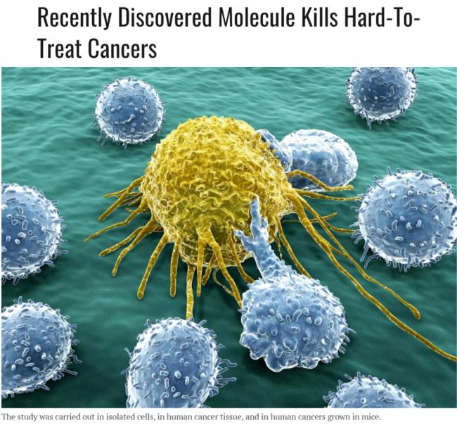 这种新疗法可精准杀死癌细胞,癌症患者有希望了