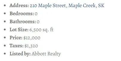 加拿大惊现在售最便宜独立屋 只要alt.2万