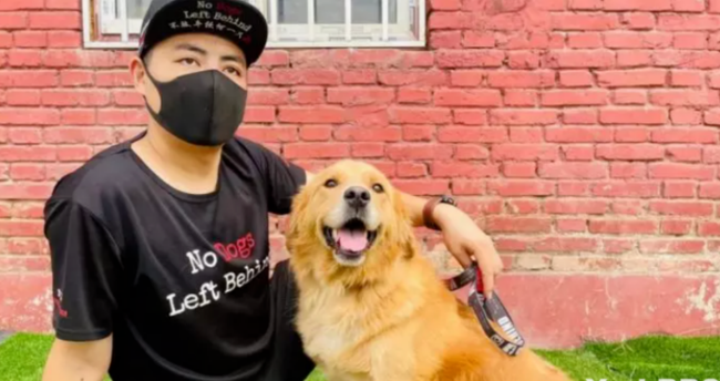 加拿大本月底将禁止高风险地区的狗入境