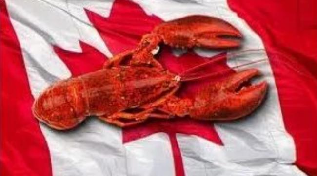 华人最爱的龙虾遭遇红色警告 美加拿吃货气炸了