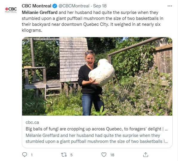 惊呆！加拿大女子自家后院发现6公斤重巨型蘑菇