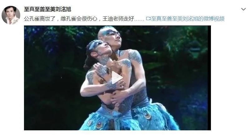 舞蹈家王迪离世仅44岁 曾与杨丽萍共跳孔雀舞