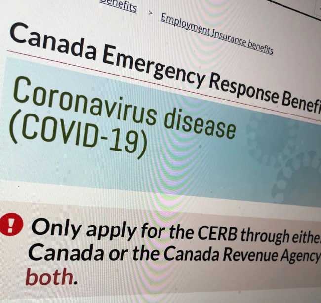 加拿大万人冒领CERB拒绝偿还 CRA竟不设还款期限