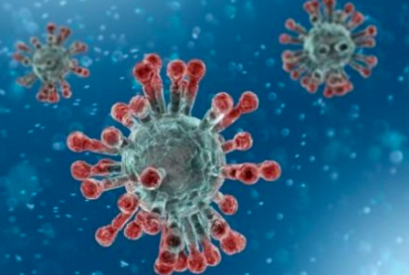 福奇：科学证据强烈表明 新冠病毒非实验室泄漏