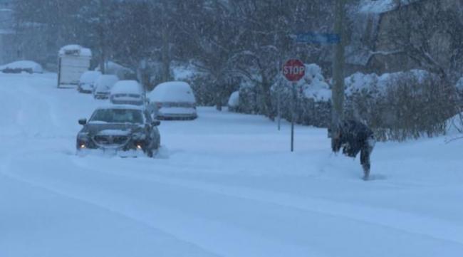 -46.8度 暴雪重创大温哥华 机场关闭公交停驶