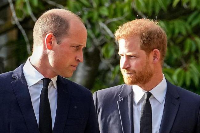 王子也动手！英国王室又出大瓜：威廉震怒，拽衣领暴打哈利！都是因为她…
