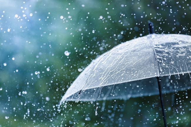 温哥华雨中随想：如果自己淋过雨，你会替别人撑把伞么？