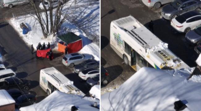 心碎！加拿大公交车加速冲撞幼儿园，2名儿童死亡！12人重伤！司机被控谋杀