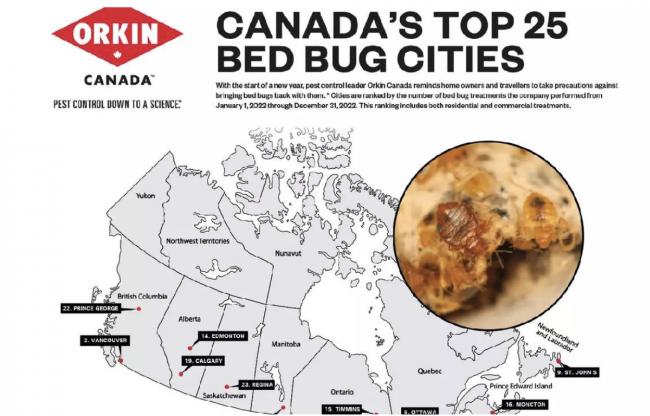 加拿大床虱最严重的10大城市 这里连续4年榜首