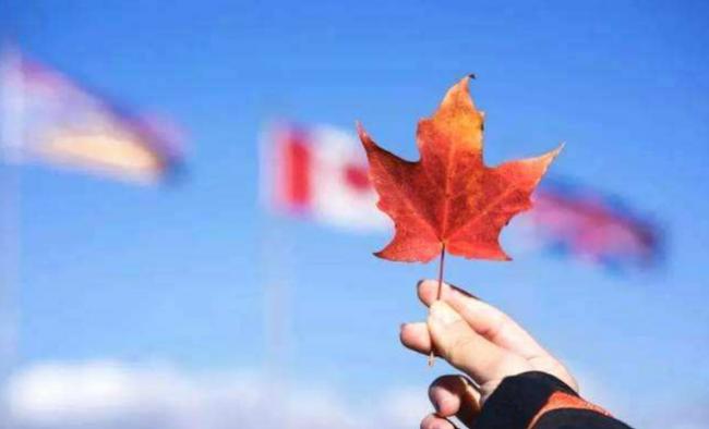 华人自述：告别八年的加拿大生活，回国感慨万千