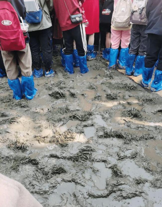 华晨宇演唱会被指割韭菜 歌迷全程站立在泥地