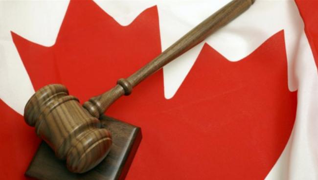 加拿大护照：不仅是1张选票 这7大优势值得拥有