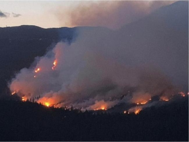 BC省温哥华岛北部发本季最大山火 但未发疏散令