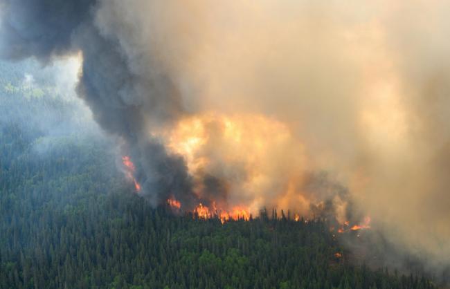 加拿大山火仍有500处在燃烧 已烧了近2000万英亩