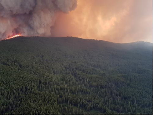 Kamloops有山火面积扩大 超过1000人撤离