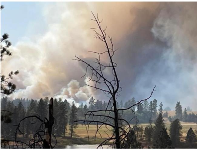 华盛顿州“灰火”延烧近万亩 疏散数千人如末日