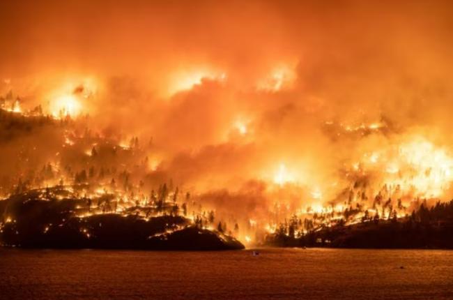 尹大卫：至少50间房屋遭山火焚毁 数字或会上升