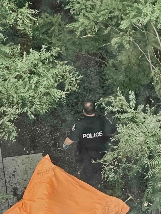 多伦多大学校园内有人跳楼 华人曝警察上门盘问