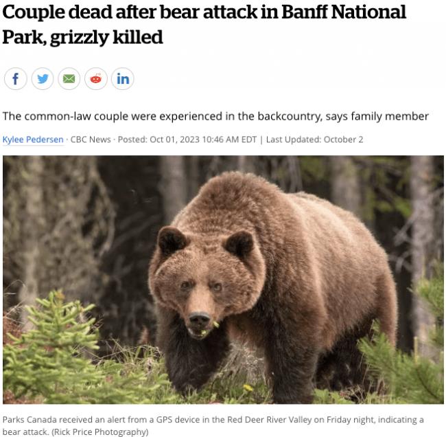 加夫妇在公园被熊咬死 专家：受袭可能因为这个