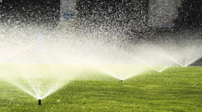 夏季违法为草坪浇水 大温都会局开出16.6万元罚单