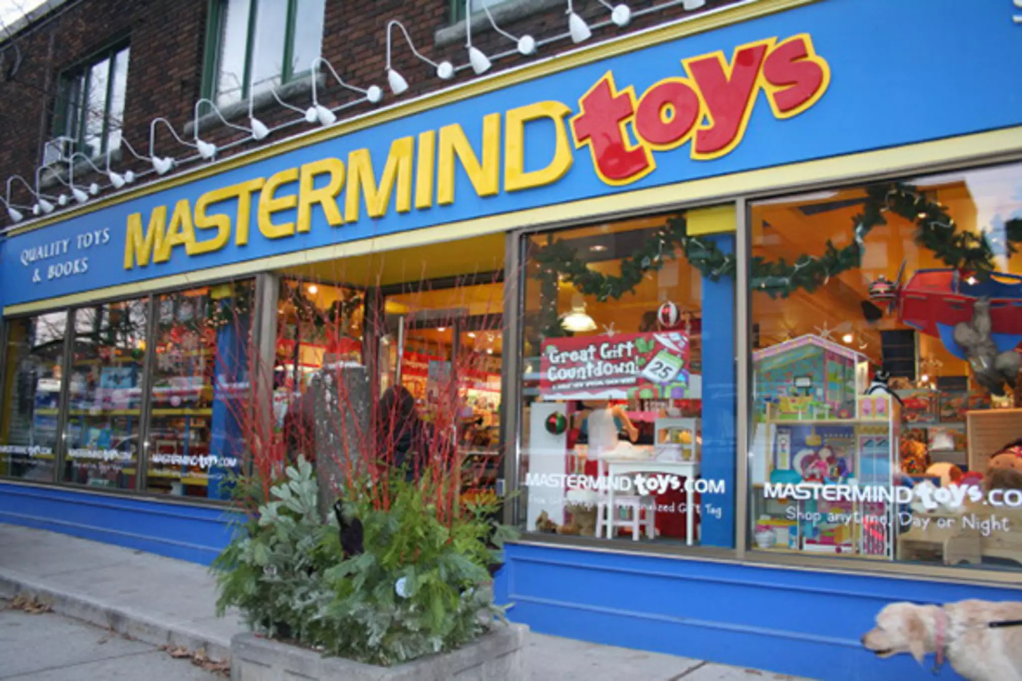加拿大知名玩具连锁店濒临破产！申请债权人保护