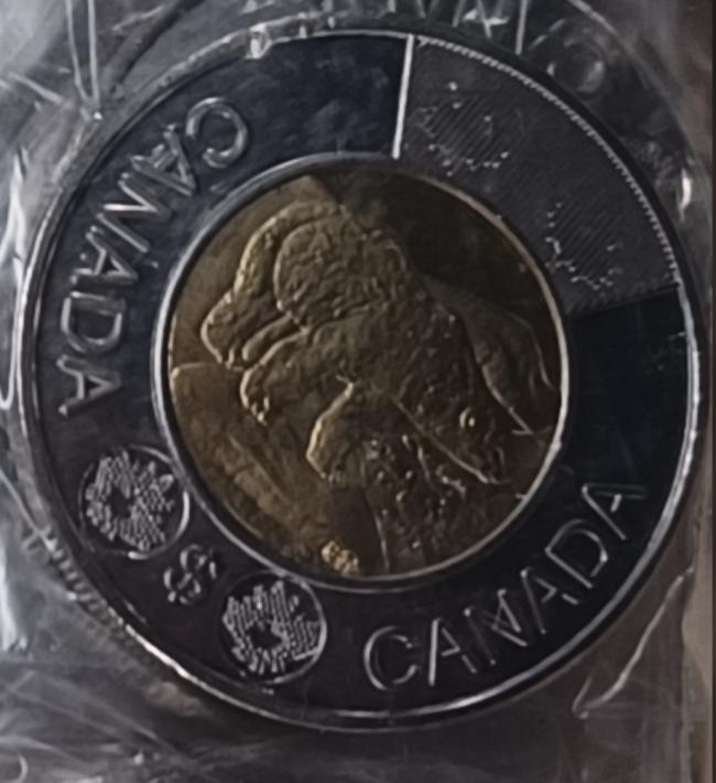 中国造的假2加元硬币进入加拿大：如何识别