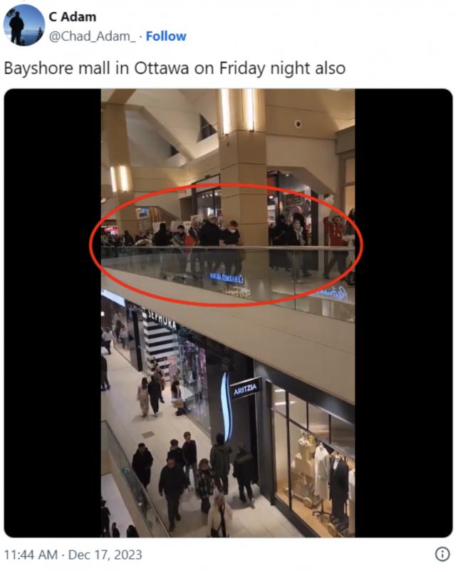 加拿大商场爆发混乱：蒙面暴徒当众"威胁杀人"