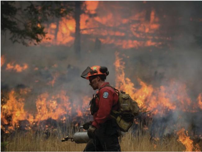 BC省至今仍有超过百宗山火焚烧