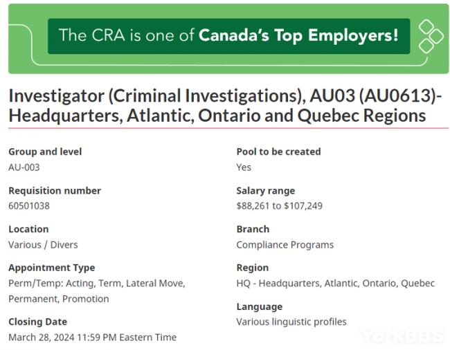 加拿大税务局招聘调查员 年薪超10万
