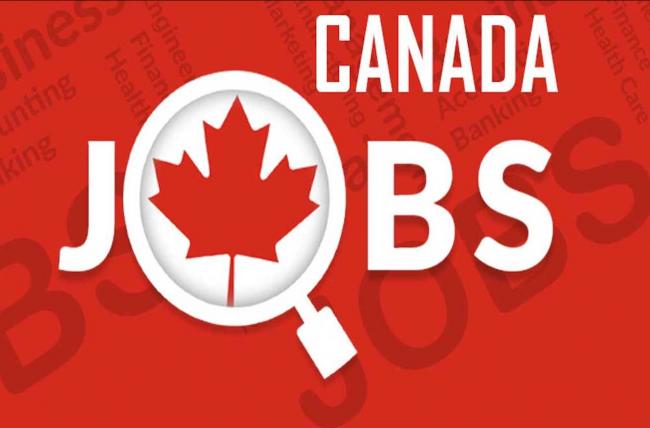 2024加拿大TOP10最佳工作揭晓 薪资都非常高