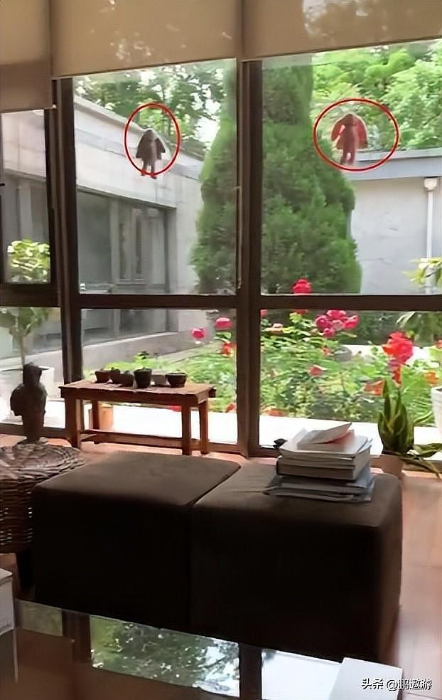 102岁杨振宁携翁帆北京过年 院子种满玫瑰