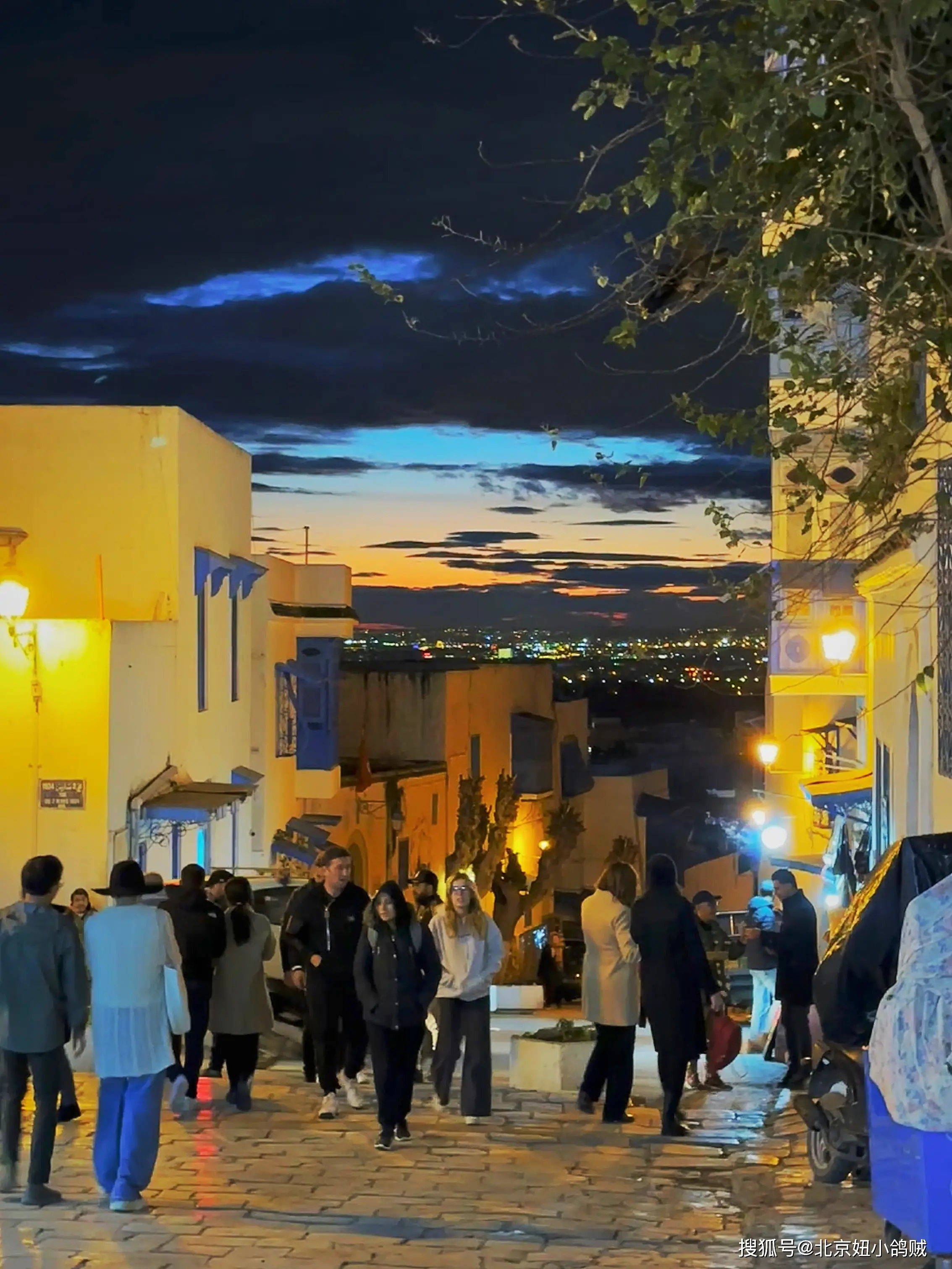 突尼斯最迷人的地中海村落：蓝白小镇全攻略