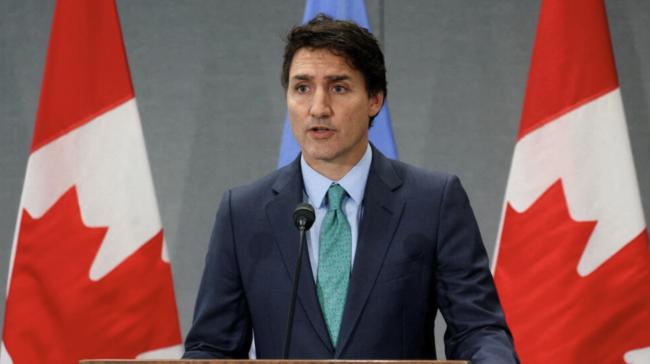 加拿大对TikTok扩张计划进行国家安全审查
