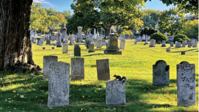 活着要省 死后殡葬也不便宜 土葬费飚至1万