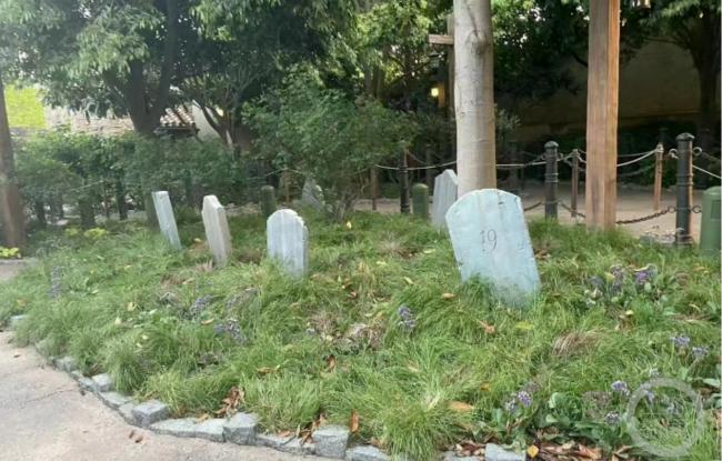 上海迪士尼度假区里有块“墓地”？客服回应