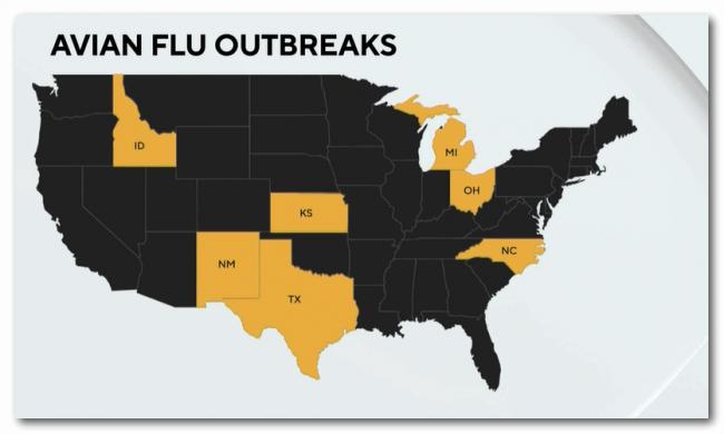 世卫警告！美国生牛奶测出浓度极高的禽流感病毒