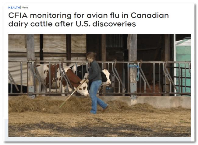 世卫警告！美国生牛奶测出浓度极高的禽流感病毒