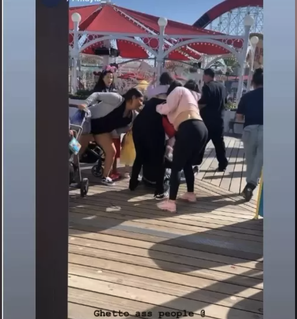 5妈妈在迪士尼乐园围殴一女 幼童在旁观战