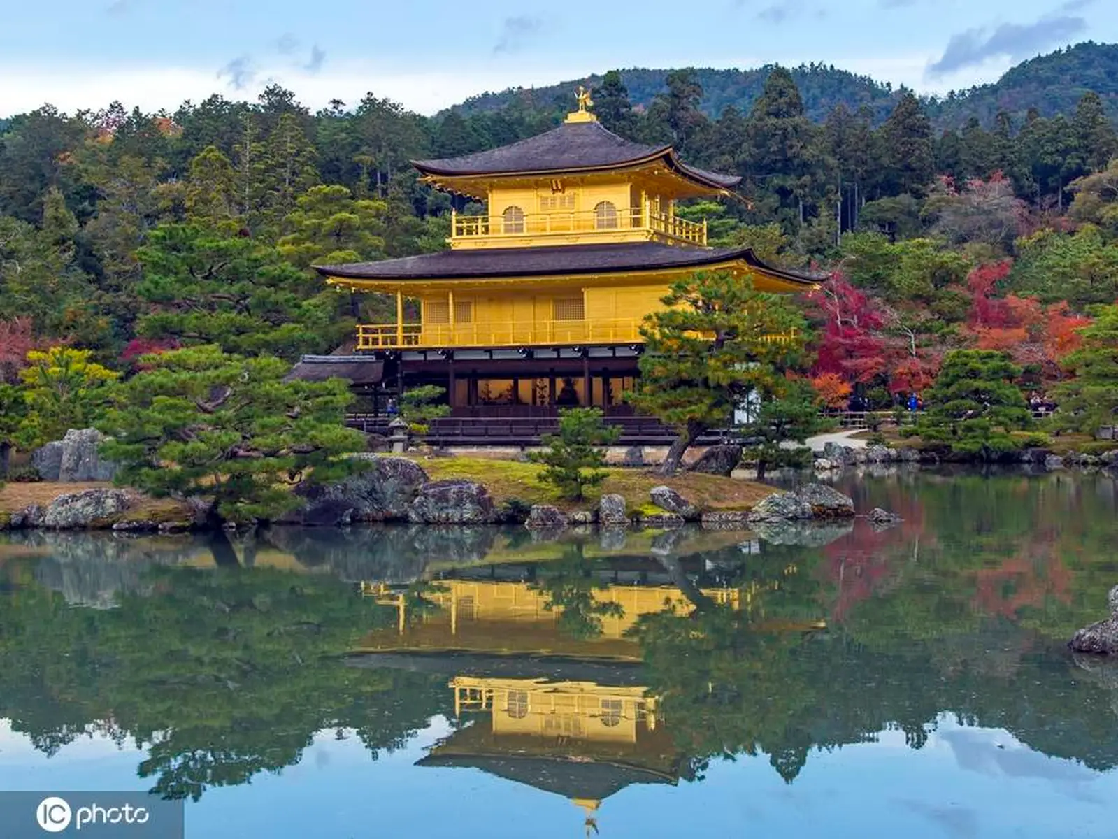 赏秋 金阁寺“枫”情万种古建筑与红叶相伴美赞