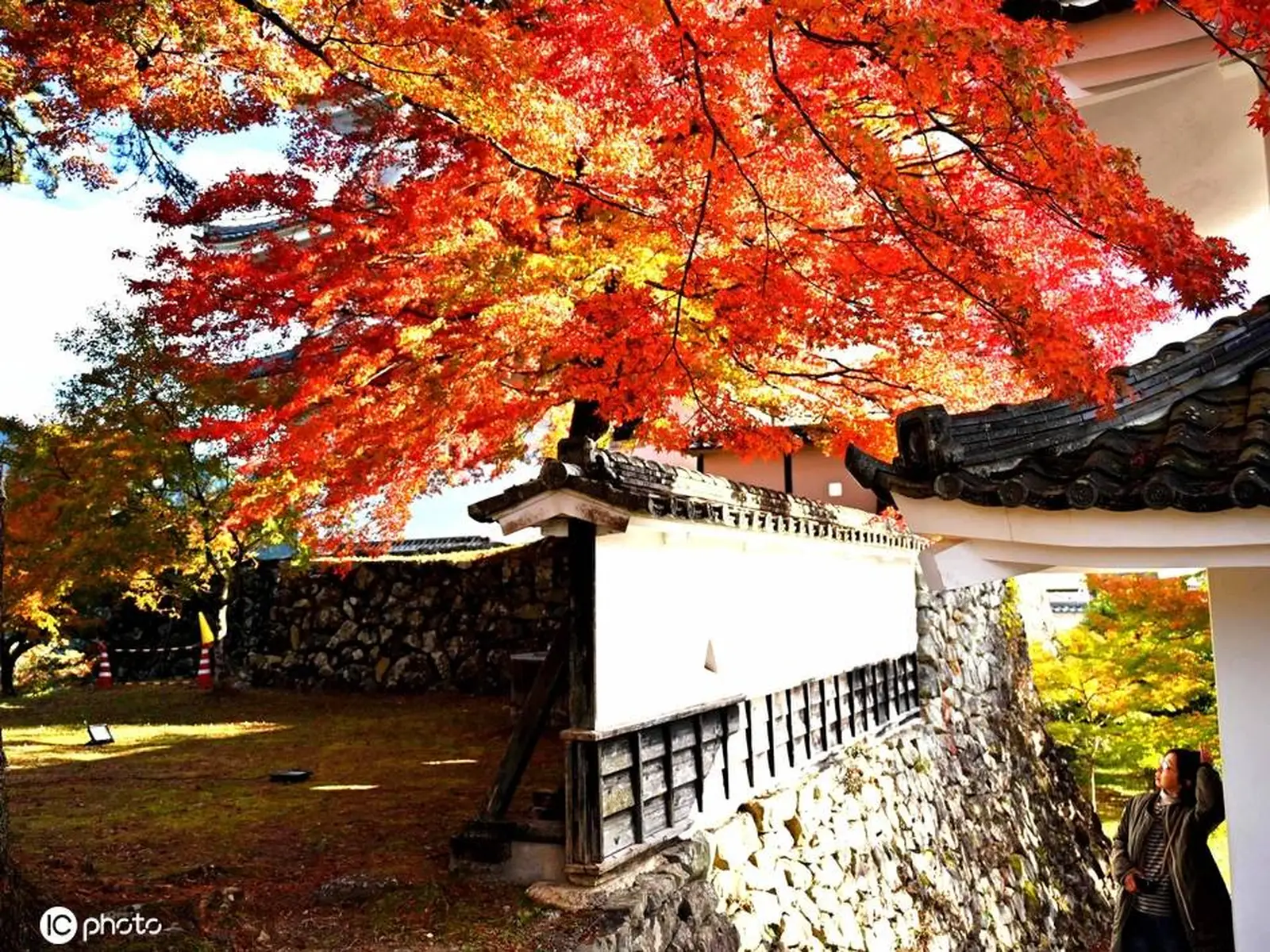 日本岐阜县郡上八幡城风景如画 欣赏美丽枫叶