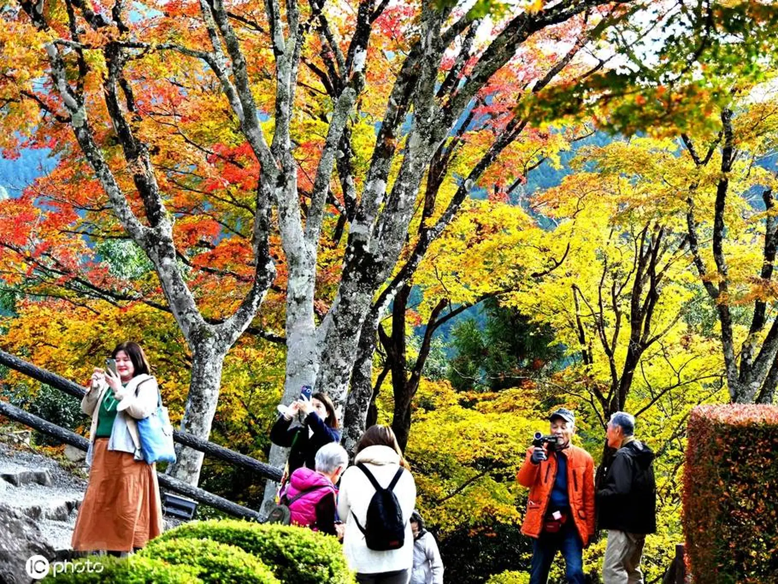 日本岐阜县郡上八幡城风景如画 欣赏美丽枫叶