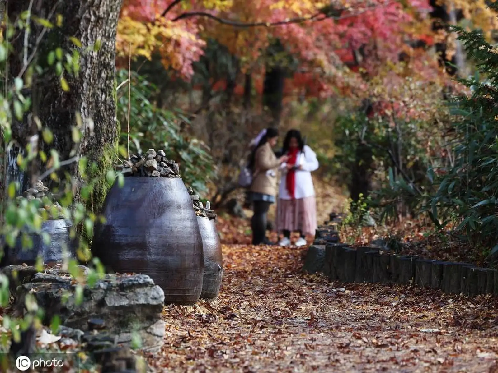 韩国民俗村满地落叶 秋色满园