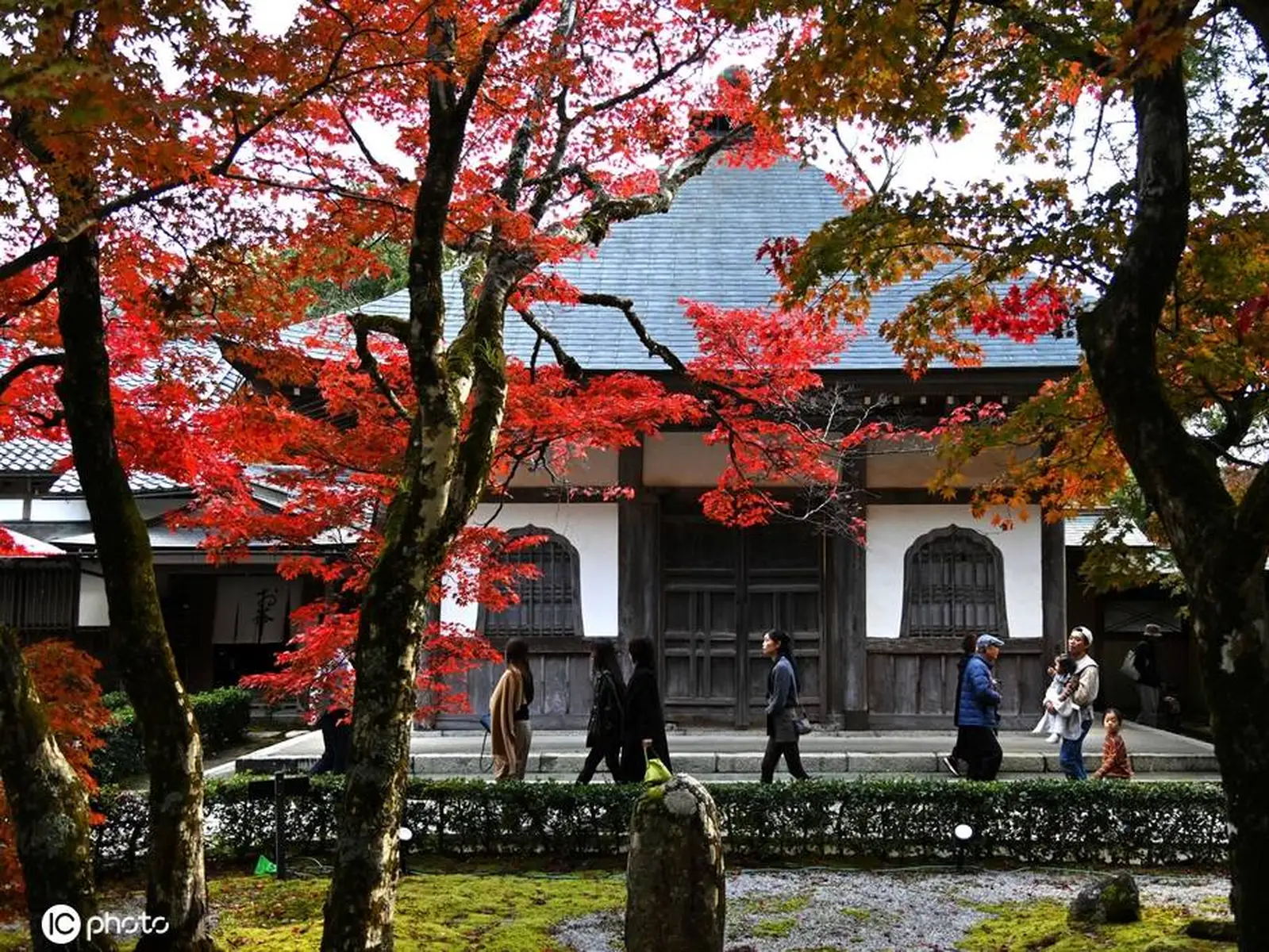 日本滋贺县神崎郡秋冬之际 民众永源寺欣赏红叶