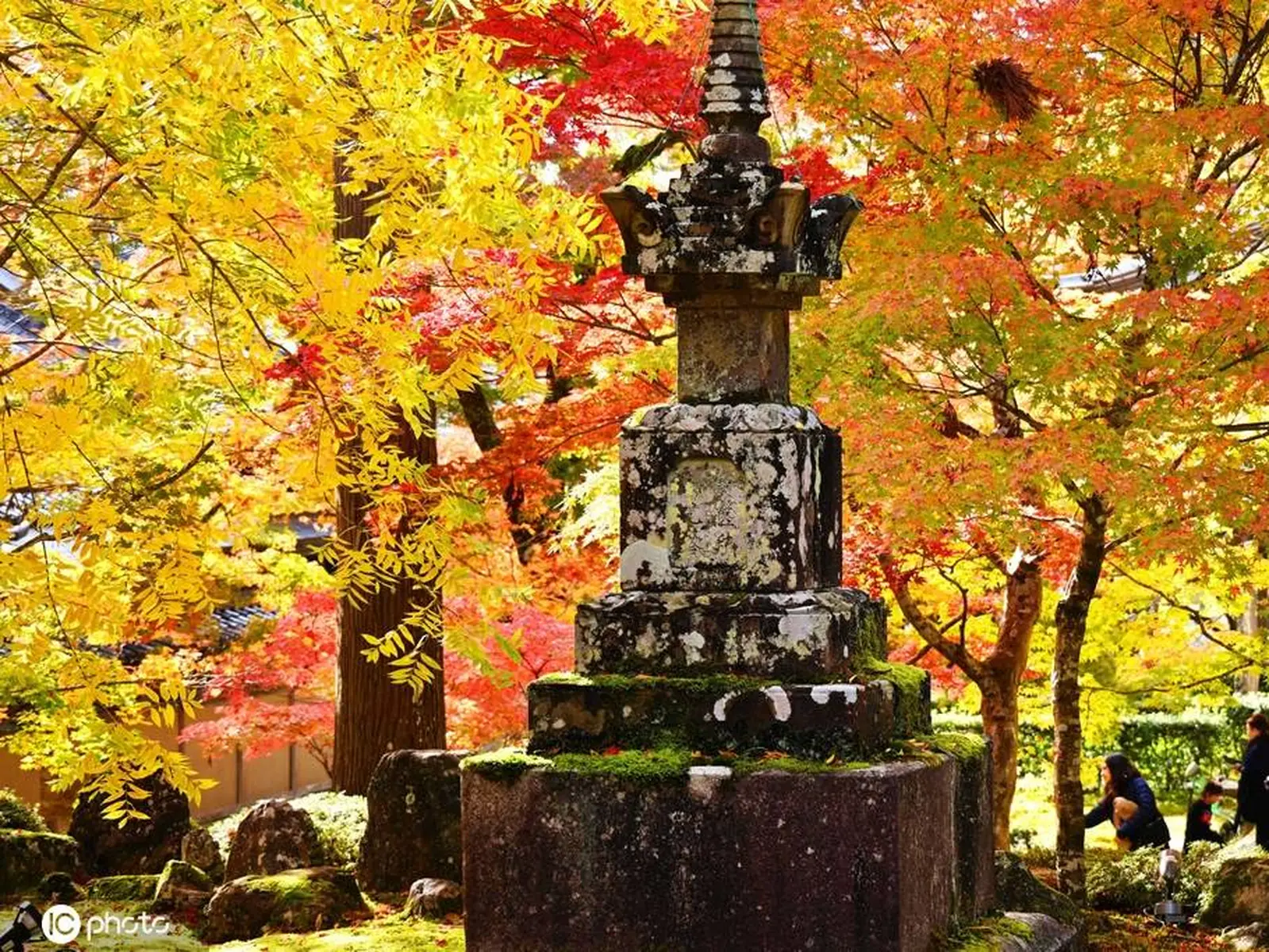 日本滋贺县神崎郡秋冬之际 民众永源寺欣赏红叶