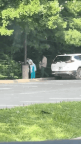 1752519517493 (1).gif