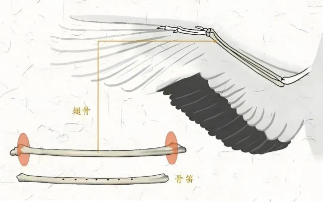 202509_17570031885902.png 图片11.png