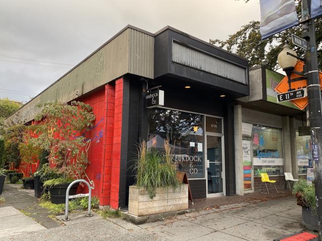 202510_17604660796249.jpg burdock01.JPG