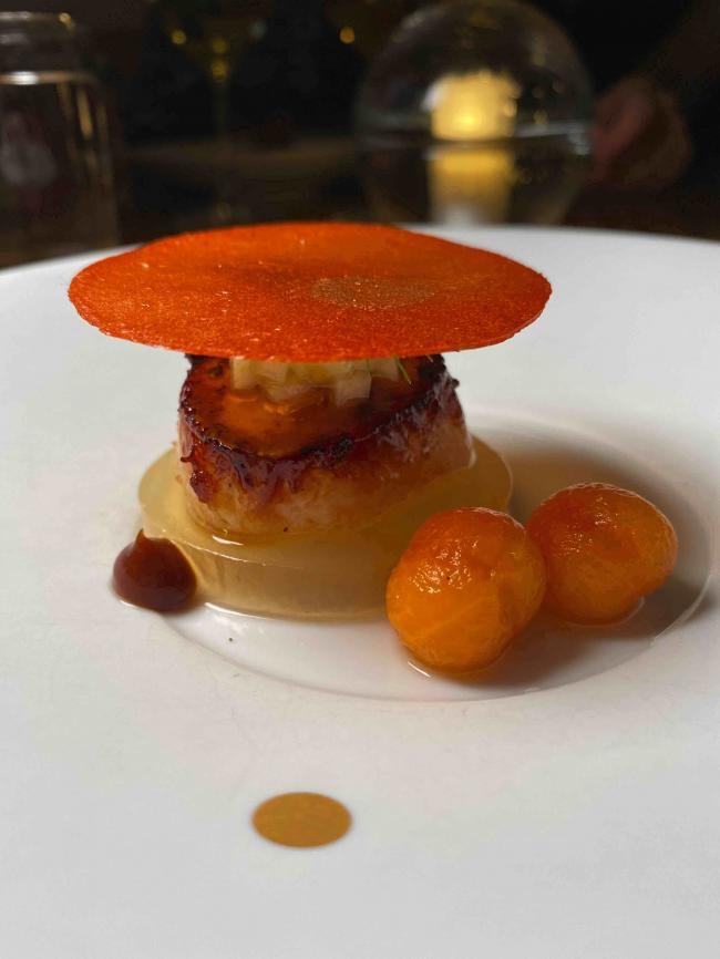 202510_17604662013100.jpg burdock07.jpg