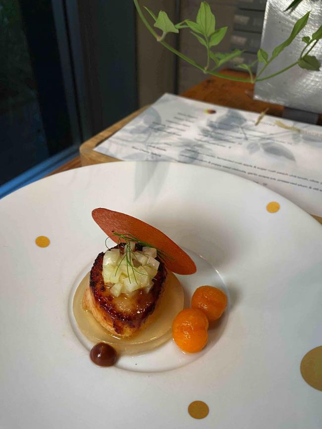 202510_17604662084211.jpg burdock08.jpg