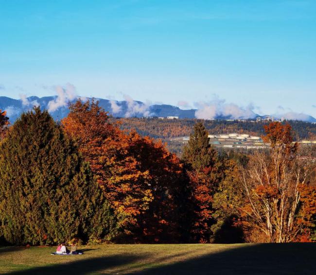 202510_17613442252335.jpg 图1.jpg